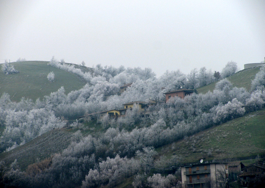 Anche in gennaio si fungheggia nel modenese